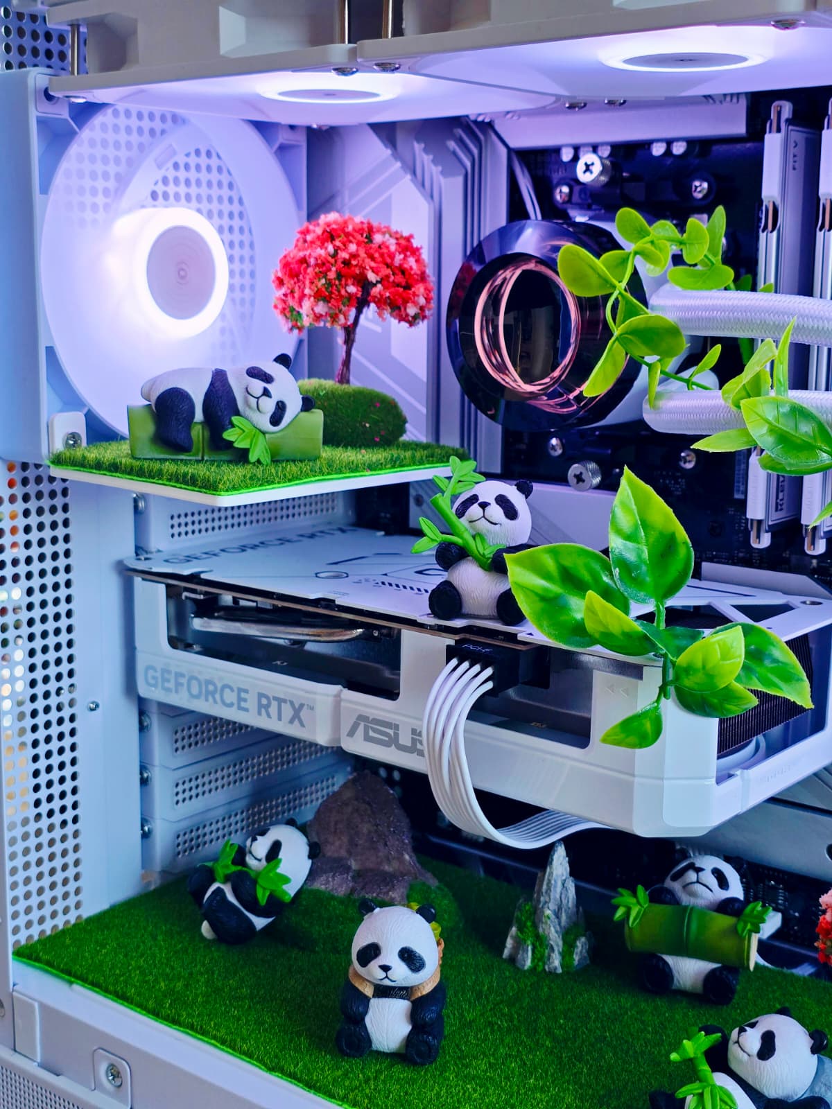 White Panda PC| Ryzen 5 7600X | RTX 5060Ti| B850| 1TB SSD|WiFi+BT|